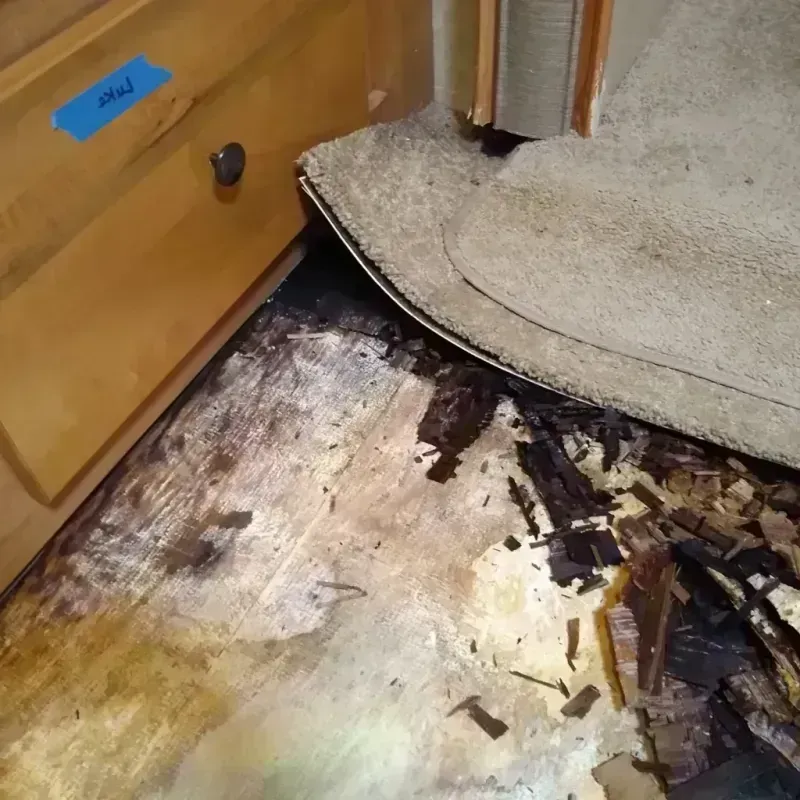 Wood Floor Water Damage in San Andreas, CA